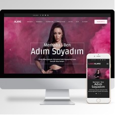 Şarkıcı Teması v2